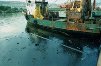 OIL SPILL IN HAIFA.