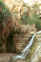 The Shulamit Waterfall in Ein Gedi the source of which is the Nahal David river.