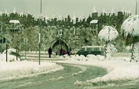 A WINTER WONDERLAND.