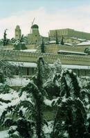 A WINTER WONDERLAND.