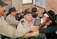 הפגנות חרדים ביפו.