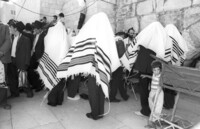 Orthodox Jews praying on 9th of Av at the Western Wall.