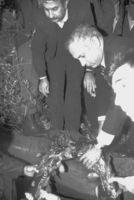 טרור ערבי - דרוזי נרצח.