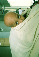 Inspite of the danger of the Gulf War, immigrants arrive daily mostly from the Soviet Union and from Ethiopia.