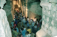 Tel Marsha is part of the well known cave complex of Beit Gubrin some fifteen kilometres east of Kiryat Gat.