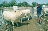 An auction for unique service bulls took place at the Neve Yaar, an experimental farm.