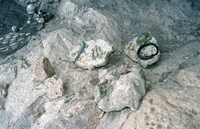 Ancient caves on the Carmel Mountain near the Arab village of Faradis.