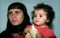 It was disclosed today by the Jewish Agency that 246 Jews from Yemen have been brought to Israel in the past year in small groups of twenty or so people at a time.