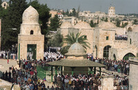 Friday pray on the Dome of the Rock.