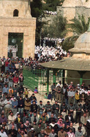 Friday pray on the Dome of the Rock.