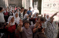 The hunger strike by Palestinian Prisoners entered its second week today.