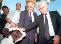 אגריטק 1993.