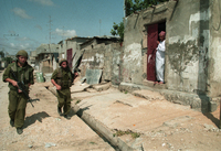 Feinberg, murder suspects arrested.