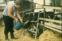 A Moshav in the Ber Tuvia region.