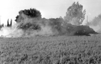 Fire destructed a huge quantity of hay in Kibbutz Hazorea.