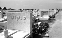 מבט על בית העלמין בקריית שאול.