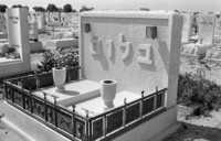 מבט על בית העלמין בקריית שאול.
