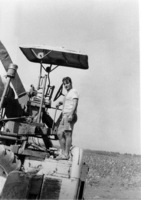 Gabi Gabai member of Kibbutz Shamir harvesting Coton.