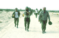 IDF Paratroop Corps performed parashuting exercises for the corps veterans.