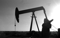 The oil pumps at Abu Rodeis field.