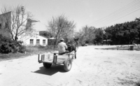 Kibbutz Yakum, Shfaim just north of Tel Aviv.