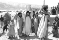 Visiting the Kurds in Iraq.