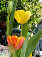 A flower.