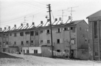 The famous 'shikun' block built in the early 1950's during the enourmous immigration into Israel in the first years of independence.