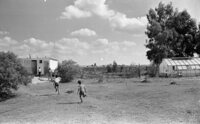 ביה"ס חבד.