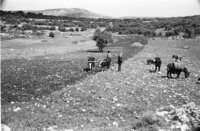 נוף בשומרון.