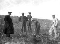 יוסף בחיפושים.