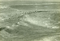 חקירות -העדרים.