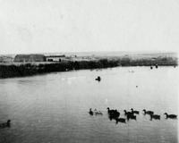 ניר דוד (תל עמל).