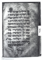 Photograph of: Birds' Head Haggadah : Fol.33v.