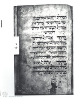 Photograph of: Birds' Head Haggadah : Fol.6.