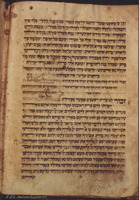 Photograph of: Metz JTS Seder Selihot : Fol.8v.