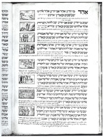Photograph of: Herlingen Amstedam Haggadah : Fol.11v.