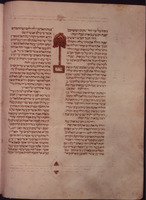 Photograph of: Oxford Ibn Gaon Bible : Fol. 17v.
