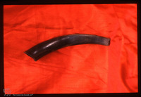 Photograph of: Shofar.