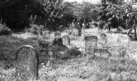 Photograph of: Jewish cemetery in Mińsk Mazowiecki.