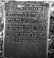 Photograph of: Jewish cemetery in Kromołów.