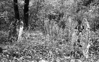 Photograph of: Jewish cemetery in Kromołów.
