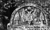 Photograph of: Jewish cemetery in Kromołów.