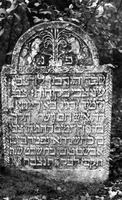 Photograph of: Jewish cemetery in Kromołów.