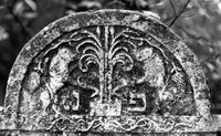 Photograph of: Jewish cemetery in Kromołów.