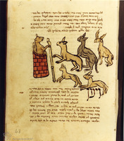 Photograph of: Milan Munich Meshal ha-Kadmoni : Fol. 70v?.