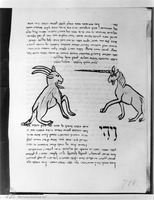 Photograph of: Milan Munich Meshal ha-Kadmoni : Fol. 70v.