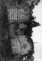 Photograph of: Unrecognized cemeteries in Ukraine.