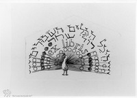 Photograph of: Ex libris od David Shahar : Field documentation.