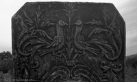 Photograph of: Jewish Cemetery Darabani : Tombstone.